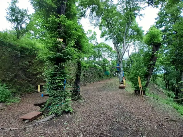 Park linowy Kłodzko - atrakcje, ceny biletów i opinie odwiedzających