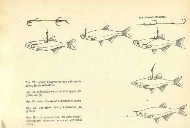 Jak założyć rosówkę na haczyk, by zwiększyć szanse na ryby