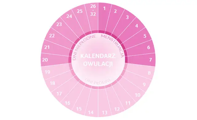 Czy mężczyźni wyczuwają dni płodne? Zaskakujące fakty o owulacji