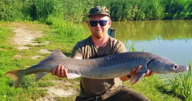 Łowisko Wojciechów: idealne miejsce na udane wędkowanie bez stresu