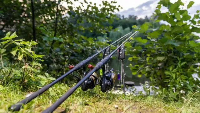 Jak zrobić stojak na wędki - proste sposoby na własny projekt DIY