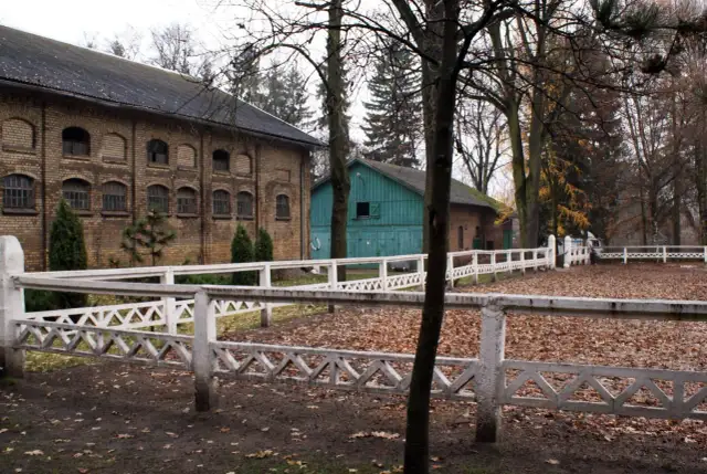 Stadnina koni Kętrzyn: historia, hodowla i atrakcje turystyczne