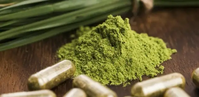 Co suplementować na diecie wegetariańskiej, aby uniknąć niedoborów?