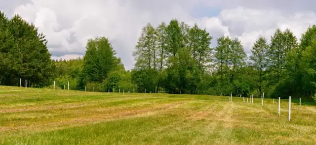 Ile kosztuje podział działki? Sprawdź, by uniknąć niepotrzebnych wydatków