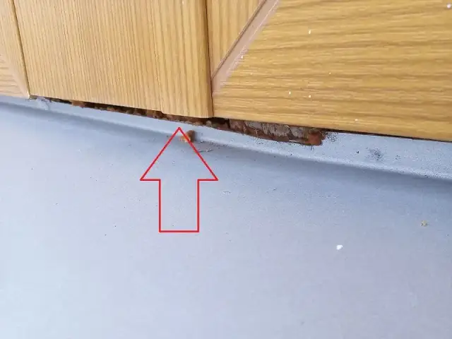 Ile czasu ma deweloper na usunięcie usterki? Sprawdź swoje prawa