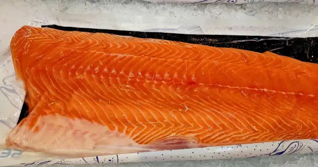 Czy łosoś żyje w Bałtyku? Poznaj dzikiego króla i jego historię