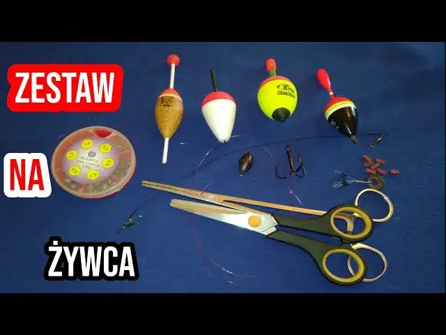 Jak wybrać spławik na żywca, aby zwiększyć swoje szanse na sukces