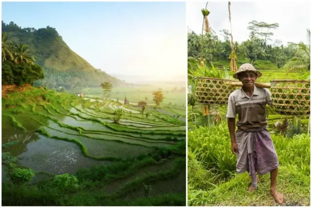 Indonezja: Czy jest bezpiecznie? Kompletny poradnik przed podróżą