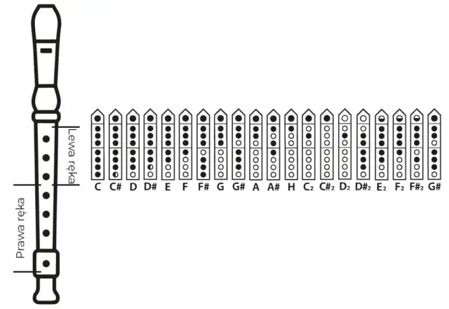 Jak zagrać B na flecie? Chwyt, zadęcie i czysty dźwięk krok po kroku