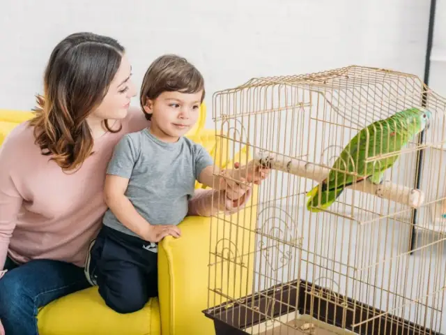 Co potrafią robić ptaki w Familiadzie? Zaskakujące odpowiedzi!