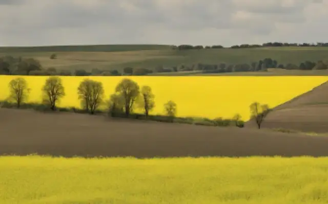 Jesienne nawożenie P i K: klucz do plonów i mrozoodporności upraw?