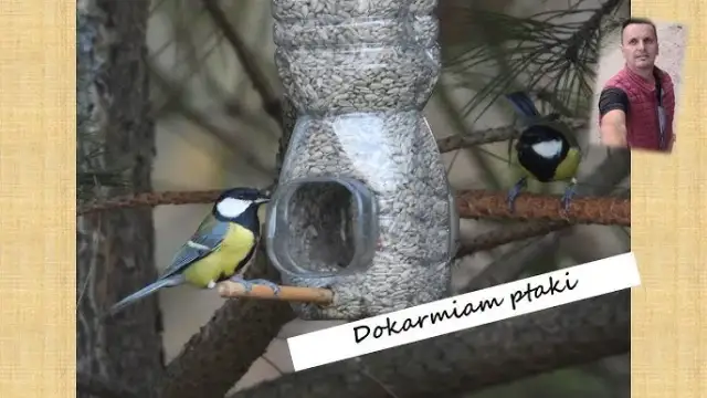 Jak zrobić pułapkę na ptaki z butelki - prosta i skuteczna metoda