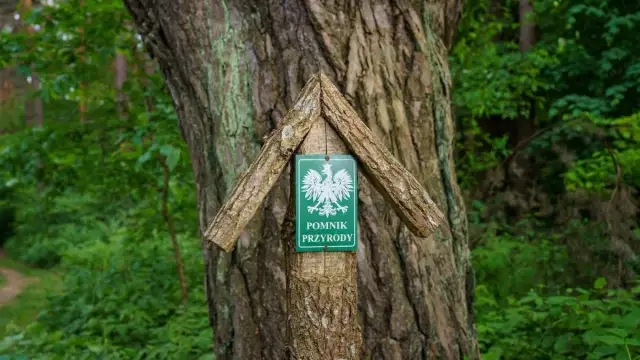 Wysokie Mazowieckie atrakcje, które zaskoczą każdego turystę