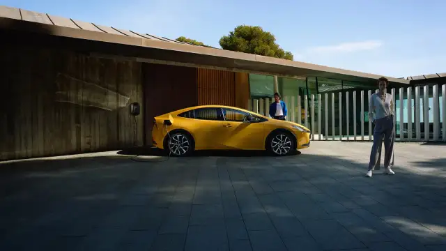 Ile kosztuje zdjęcie hybrydy? Salon czy dom co się bardziej opłaca?