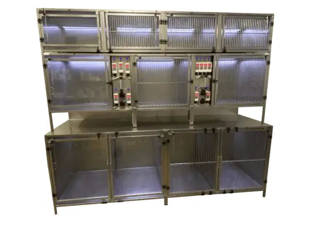 Gdzie pracuje weterynarz? Odkryj różnorodność miejsc zatrudnienia