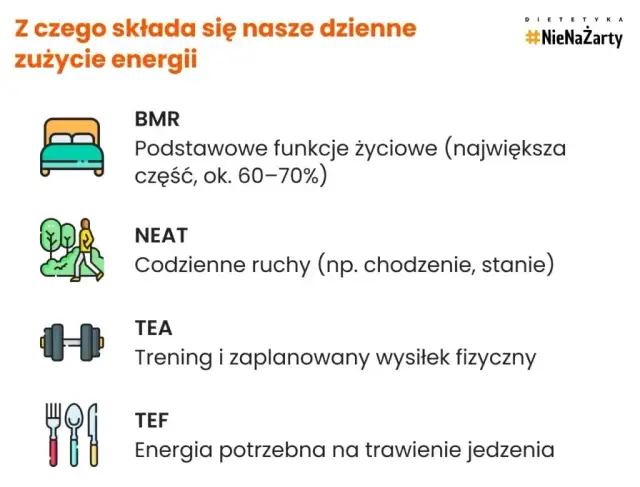 Zrzuć 10 kg: Realny plan ćwiczeń i diety (2,5-5 miesięcy)
