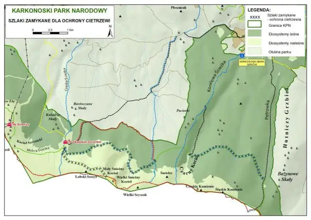 Karkonosze: zamknięte szlaki? Sprawdź, zanim ruszysz w góry!