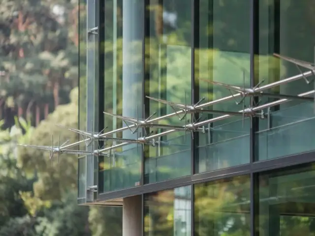 Skuteczne sposoby na odstraszenie jaskółek z okien i uniknięcie kłopotów