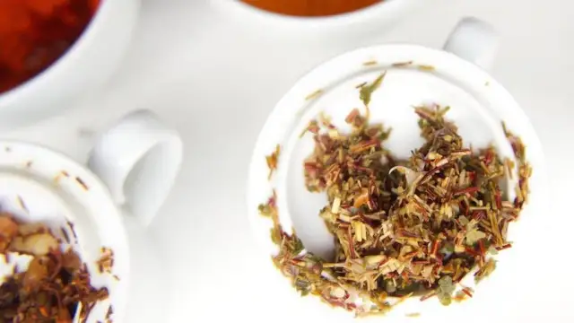 Jak powstaje herbata - poznaj sekrety produkcji i smaku różnych herbat