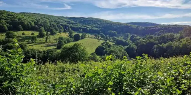 Zwoleń atrakcje: odkryj ukryte skarby i piękne miejsca w regionie