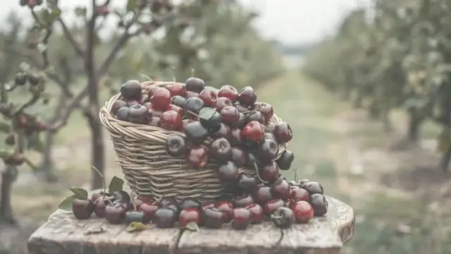 Sok z wiśni ile cukru? Odpowiednie proporcje dla idealnego smaku