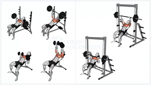 Untere Brust formen: Mein Guide für maximale Definition & Kraft