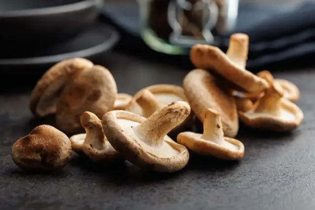 Czy rozmrażać grzyby do zupy? Sekret idealnego smaku i aromatu.