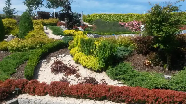 Co na skarpy w ogrodzie: najlepsze rośliny na trudne warunki