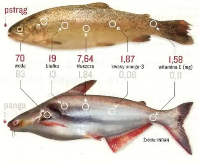 Sola czy panga? Sprawdź, czy ryba na Twoim talerzu jest zdrowa!