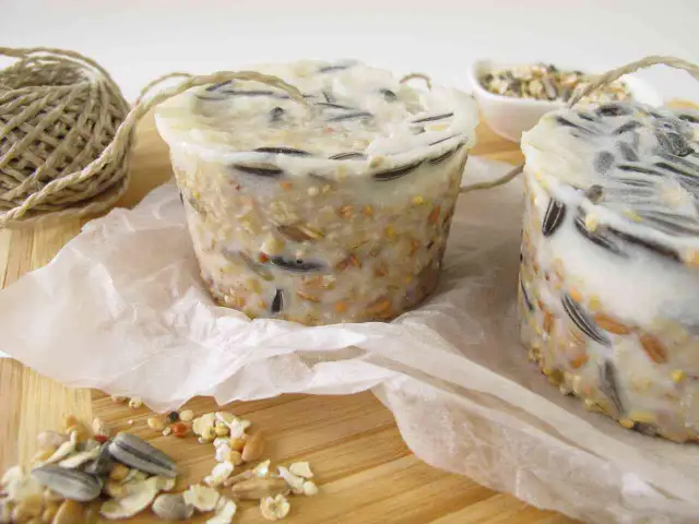 Karma dla ptaków zimą: Przepisy na zdrową i bezpieczną mieszankę