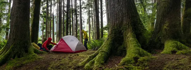 Jaki namiot na kemping – uniknij złych wyborów i ciesz się komfortem