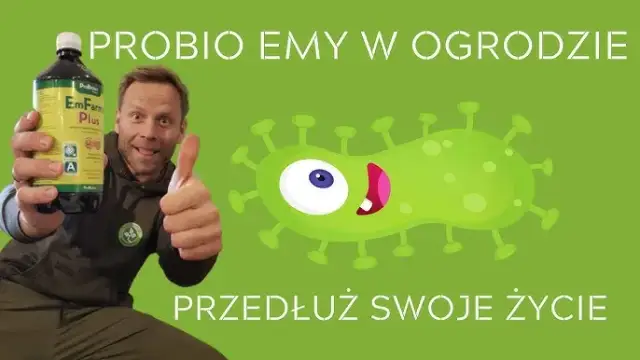 Jak stosować EMy w ogrodzie: 7 skutecznych metod i wskazówek