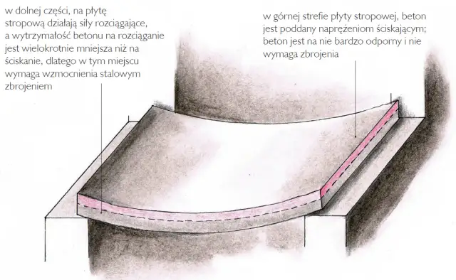 Wybór stropu do domu: Koszty, typy, błędy. Jak podjąć decyzję?