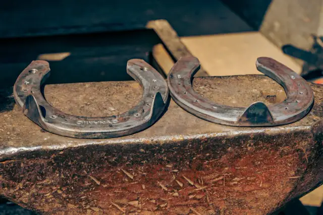 Po co podkuwa się konie? Kiedy podkowa, kiedy bose kopyto?