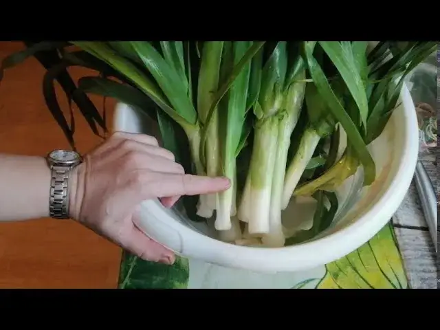 Mrożenie pora: Jak zachować smak i uniknąć zbrylania? Poradnik