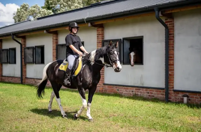 Młoda amazonka na karym koniu z białą grzywą przemierza trawiasty teren przed stajnią Equita Jeździecki Klub Sportowy w Świętochłowicach.