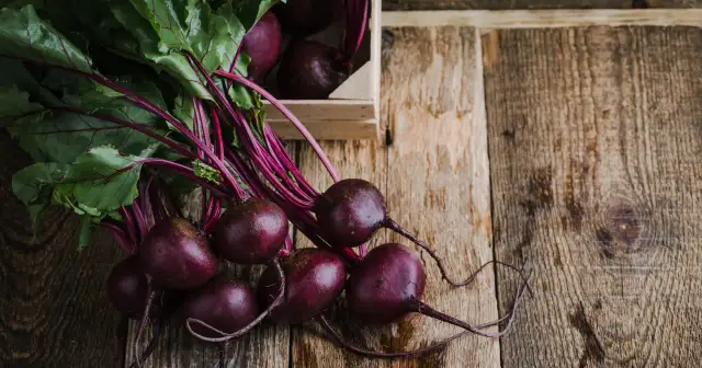 Ile kalorii mają buraki? Pełna analiza wartości odżywczych