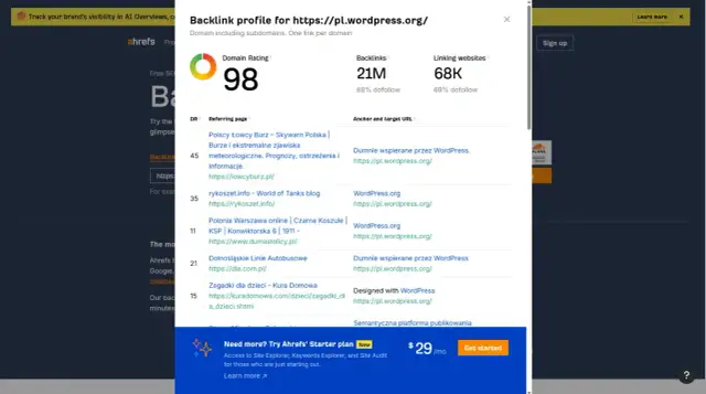 Jak sprawdzić domenę? Uniknij pułapek, wybierz idealną!