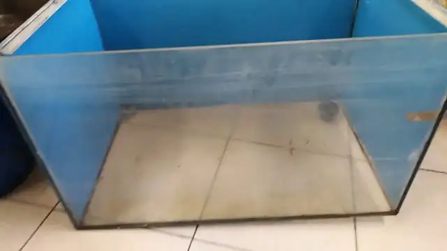 Jak skleić akwarium? Kompletny poradnik DIY i naprawa przecieków