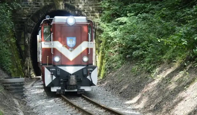 Atrakcje w Dynowie, które musisz zobaczyć i przeżyć w tej okolicy