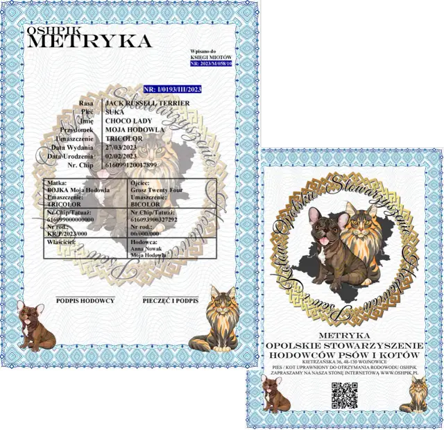 Ile kosztuje metryka dla psa? Sprawdź ceny i ukryte opłaty