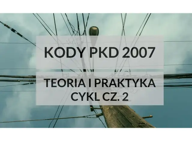 Ile kodów PKD można wpisać do KRS? Poznaj ważne ograniczenia