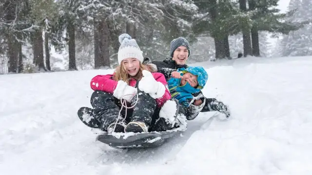 Radosne dzieci zjeżdżają na sankach podczas ferii świętokrzyskich 2026. Śnieg sypie, a uśmiechy nie schodzą z twarzy.
