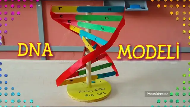 Jak zrobić DNA na biologię: proste kroki do stworzenia modelu