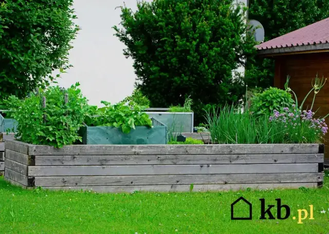 Jak ogrodzić warzywniak skutecznie i estetycznie, unikając problemów