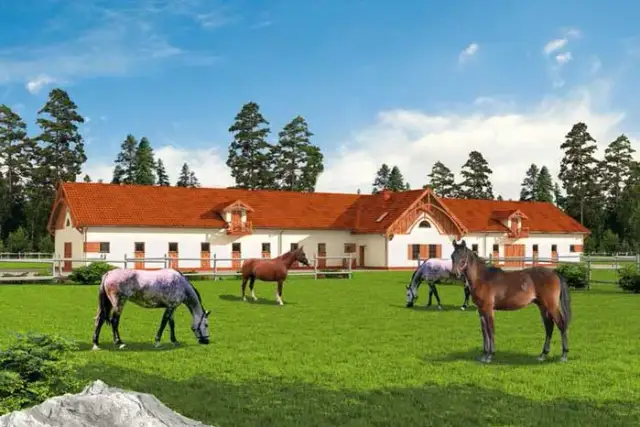 Ile kosztuje budowa stajni? Poznaj ukryte wydatki i kluczowe czynniki