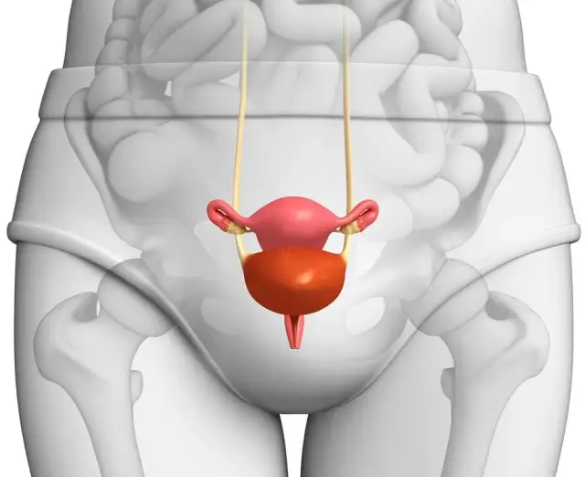 Leczenie zapalenia cewki moczowej: Co naprawdę działa?