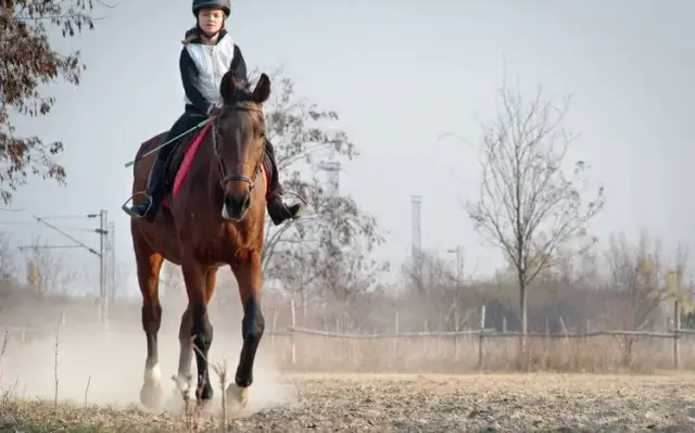 Lubelska Fundacja Jeździectwa - poznaj programy i możliwości dla dzieci