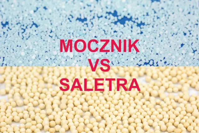 Mocznik czy saletra? Wybierz mądrze i unikaj błędów na trawniku!