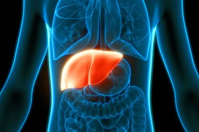 Czy piwo szkodzi na wątrobę? Oto co musisz wiedzieć o ryzyku